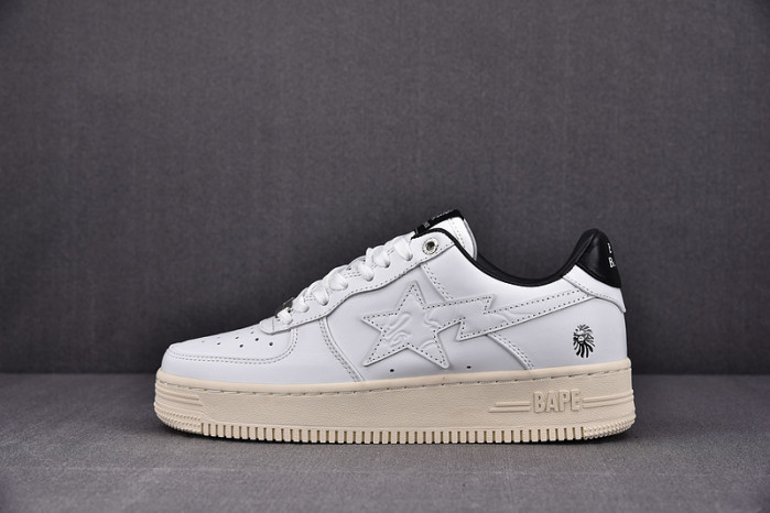 BAPE Shoe