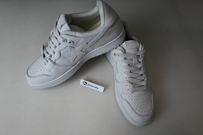 BAPE Shoe